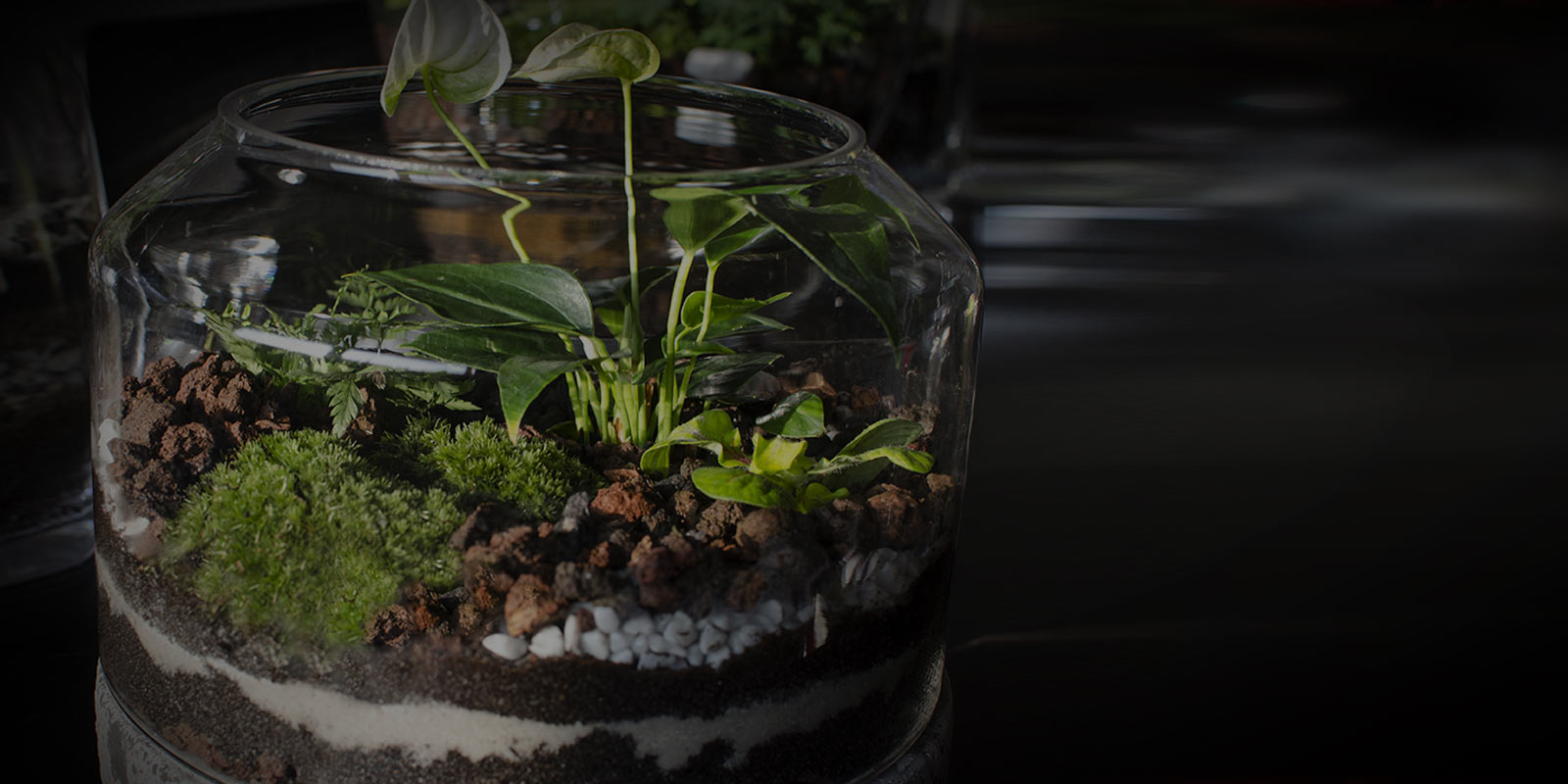 Terrarium Seminar In Chicago Farmers Market Garden Center